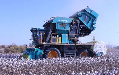 科技赋能农业强国建设！9001cc金沙以诚为本智能这幼我工智能项目入选《湖南省“数字新基建”100个标志性项目名单》